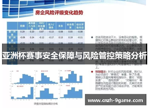 亚洲杯赛事安全保障与风险管控策略分析