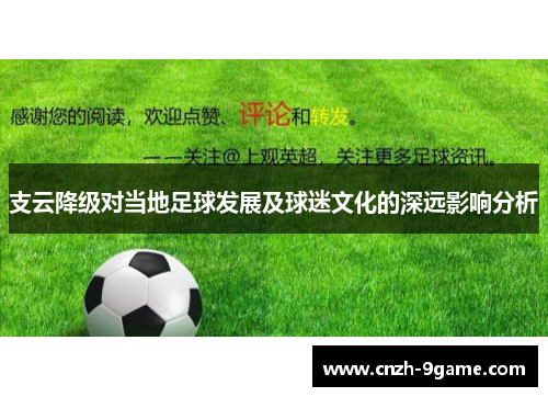 支云降级对当地足球发展及球迷文化的深远影响分析