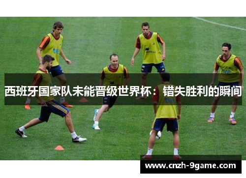 西班牙国家队未能晋级世界杯：错失胜利的瞬间
