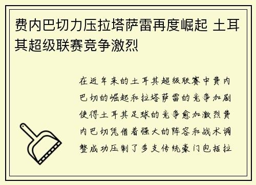 费内巴切力压拉塔萨雷再度崛起 土耳其超级联赛竞争激烈