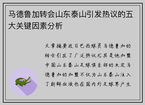马德鲁加转会山东泰山引发热议的五大关键因素分析