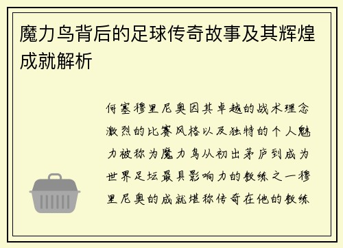 魔力鸟背后的足球传奇故事及其辉煌成就解析